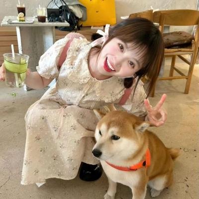 缉凶双宝
